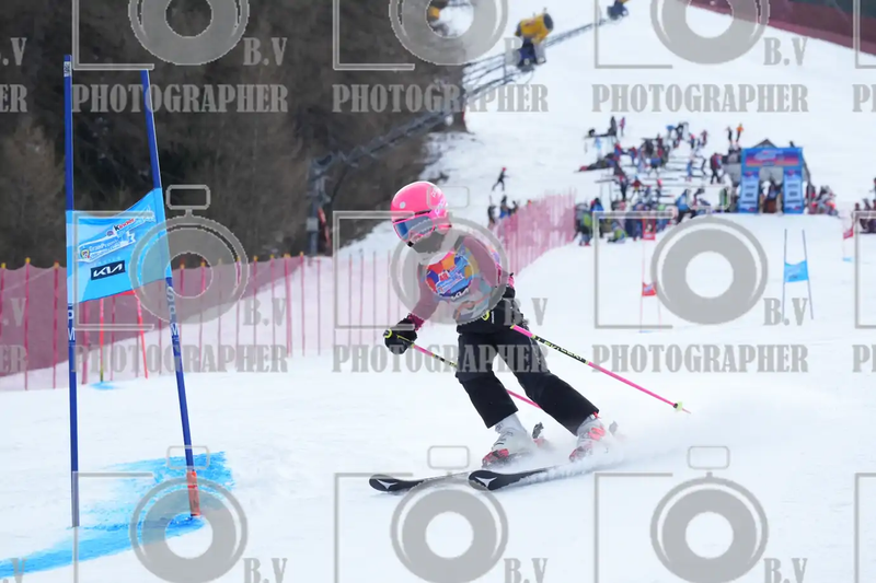 FINALE PROVINCIALE 2026