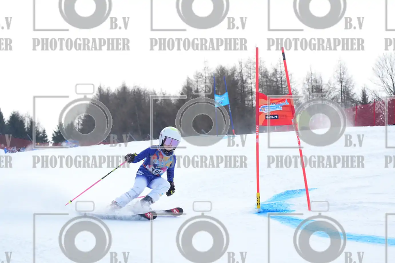 FINALE PROVINCIALE 2026
