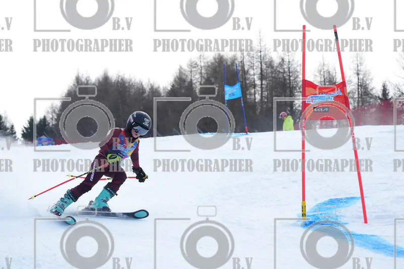 FINALE PROVINCIALE 2026
