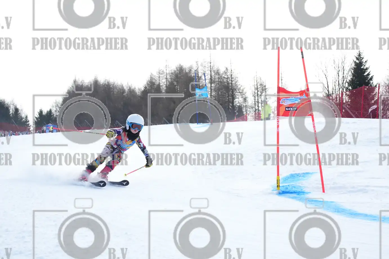 FINALE PROVINCIALE 2026