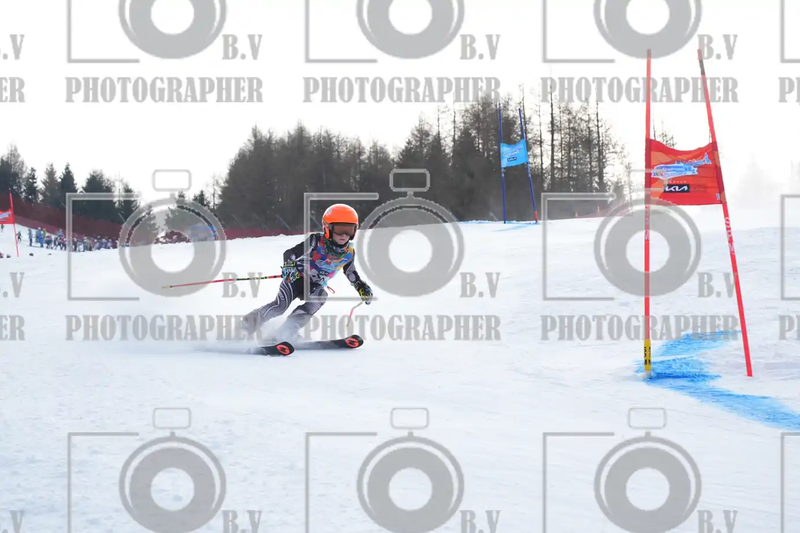 FINALE PROVINCIALE 2026