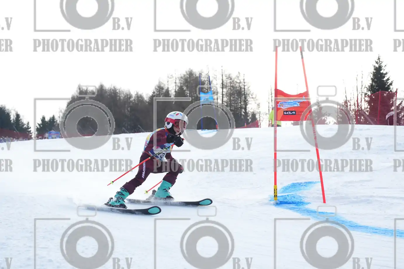 FINALE PROVINCIALE 2026
