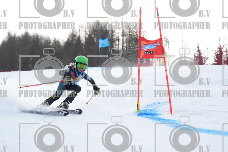 FINALE PROVINCIALE 2026