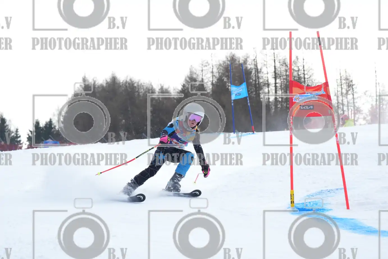 FINALE PROVINCIALE 2026