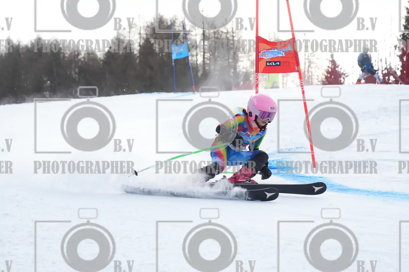 FINALE PROVINCIALE 2026