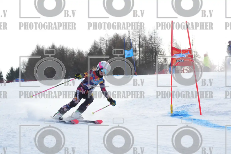 FINALE PROVINCIALE 2026