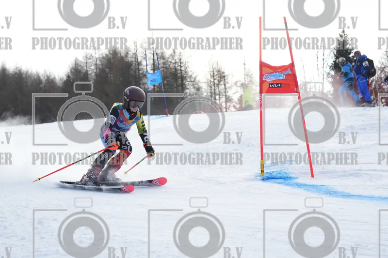 FINALE PROVINCIALE 2026