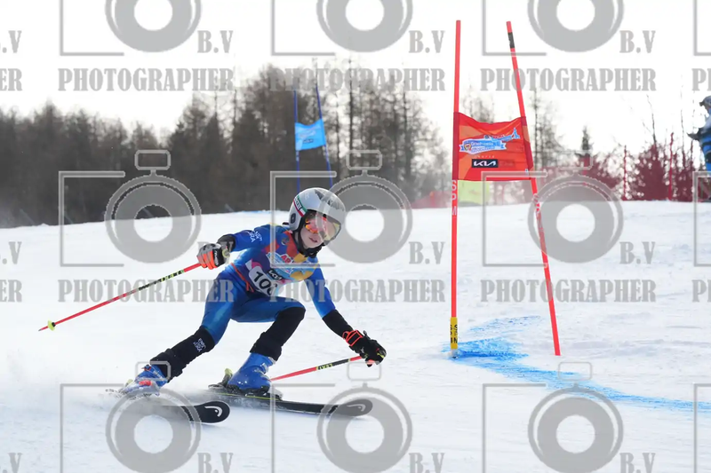 FINALE PROVINCIALE 2026