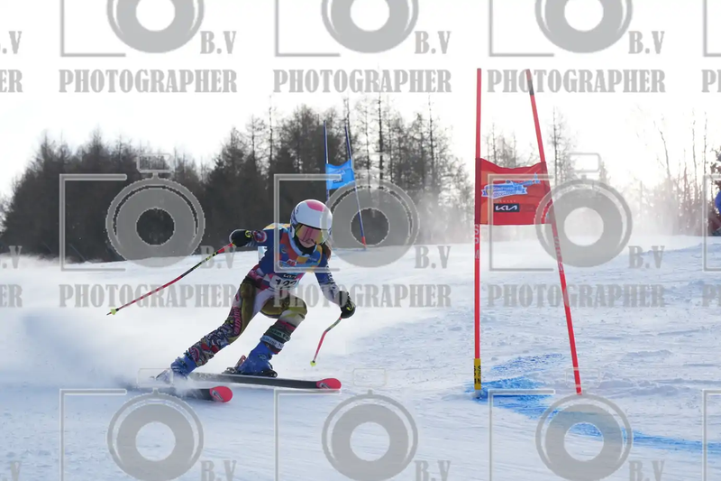 FINALE PROVINCIALE 2026