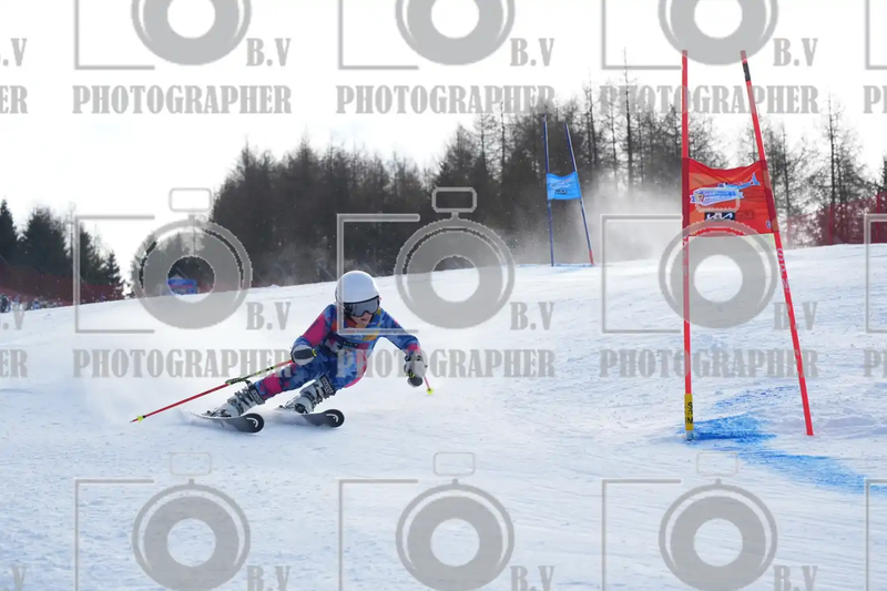 FINALE PROVINCIALE 2026