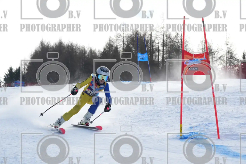 FINALE PROVINCIALE 2026