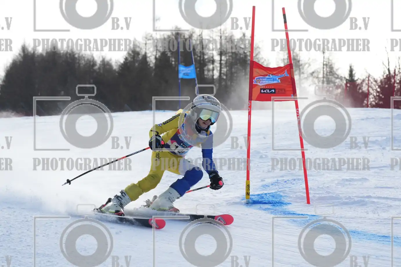 FINALE PROVINCIALE 2026