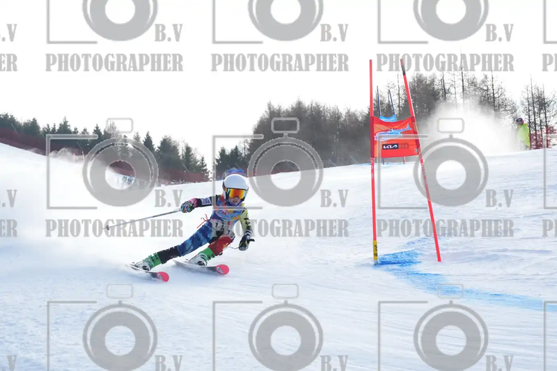 FINALE PROVINCIALE 2026