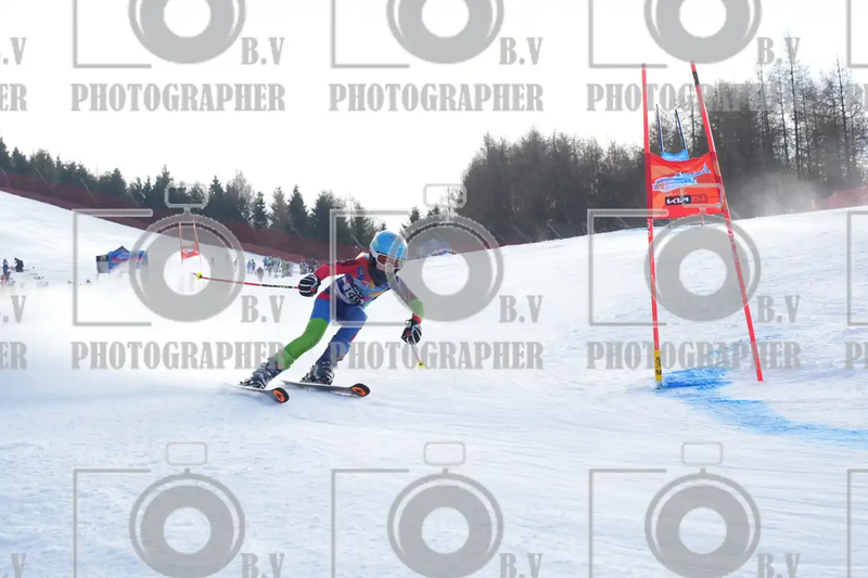 FINALE PROVINCIALE 2026