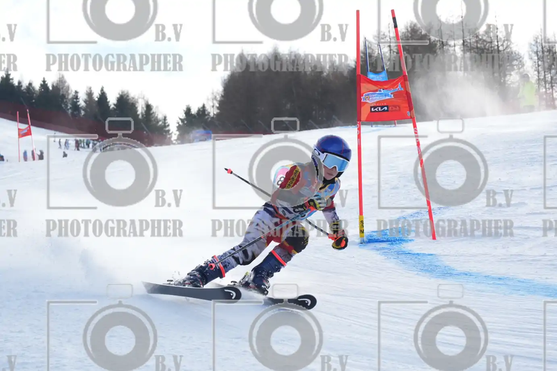 FINALE PROVINCIALE 2026