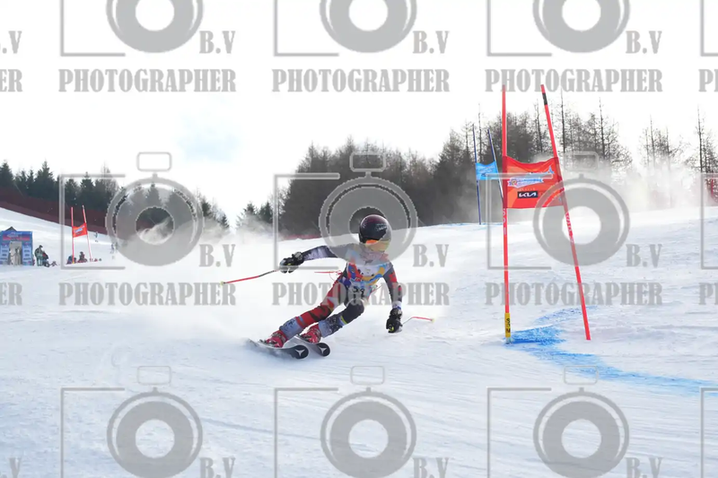 FINALE PROVINCIALE 2026