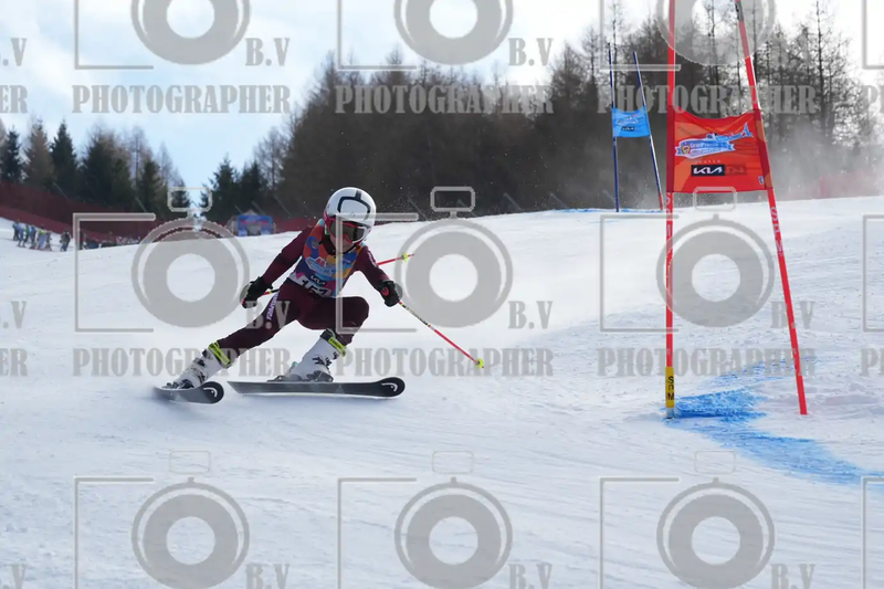 FINALE PROVINCIALE 2026