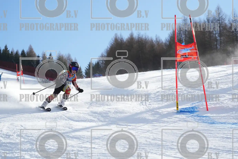 FINALE PROVINCIALE 2026
