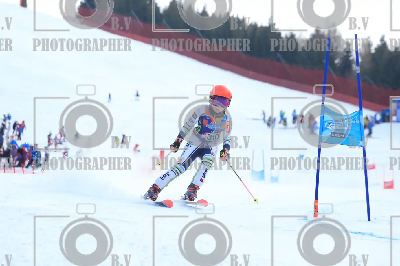 FINALE PROVINCIALE 2026