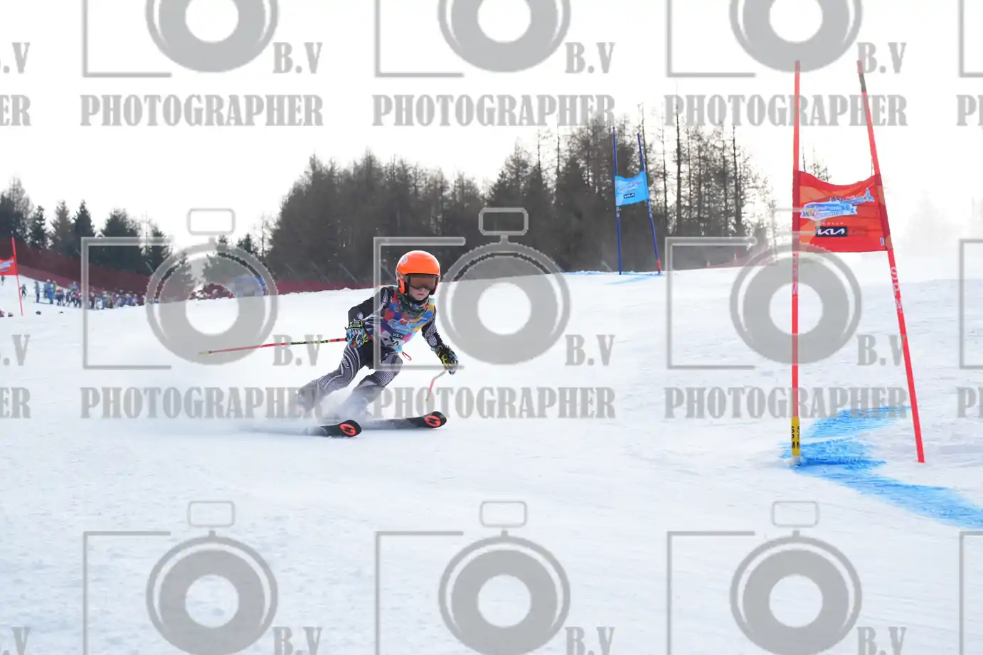FINALE PROVINCIALE 2026