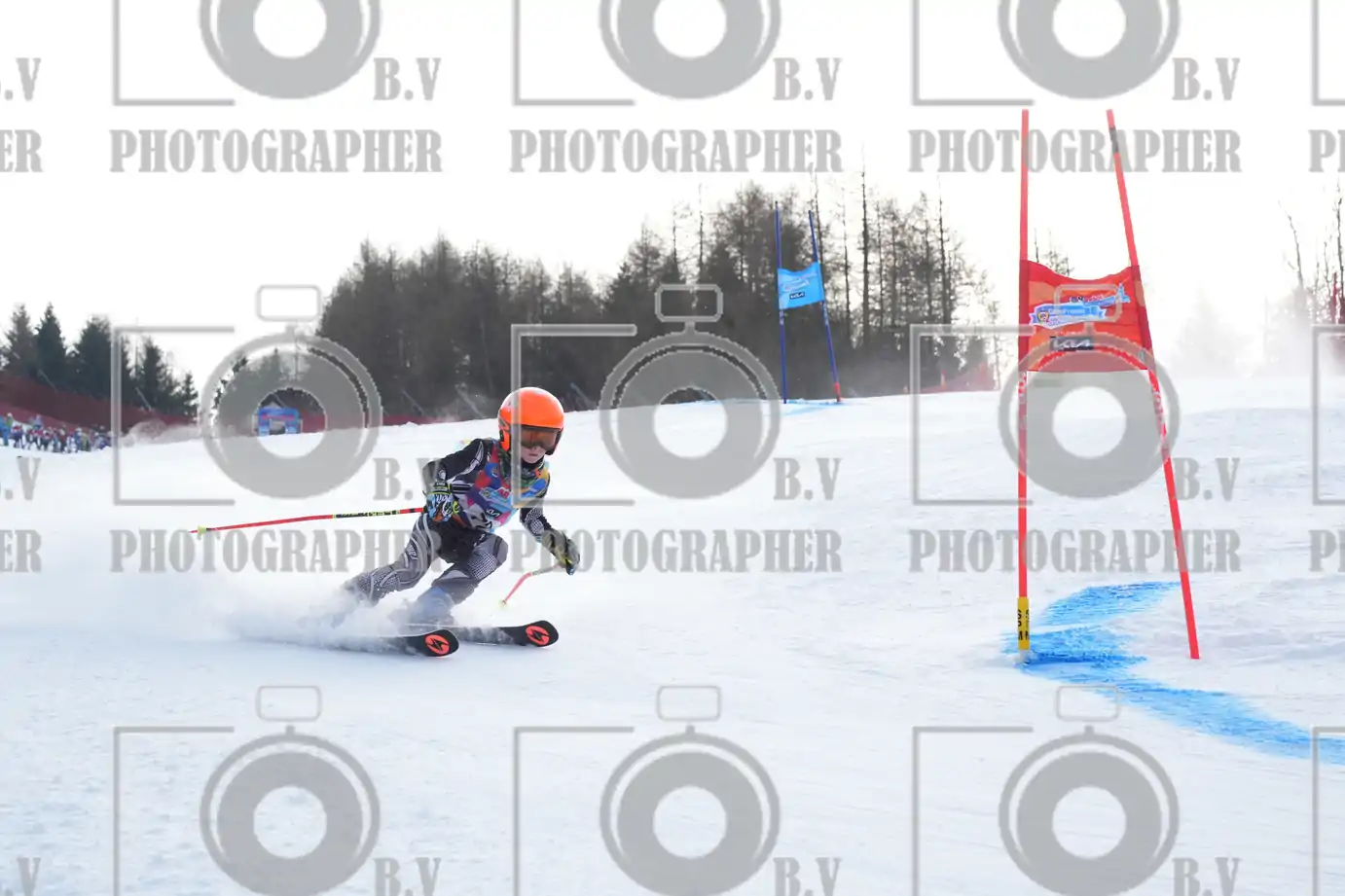 FINALE PROVINCIALE 2026