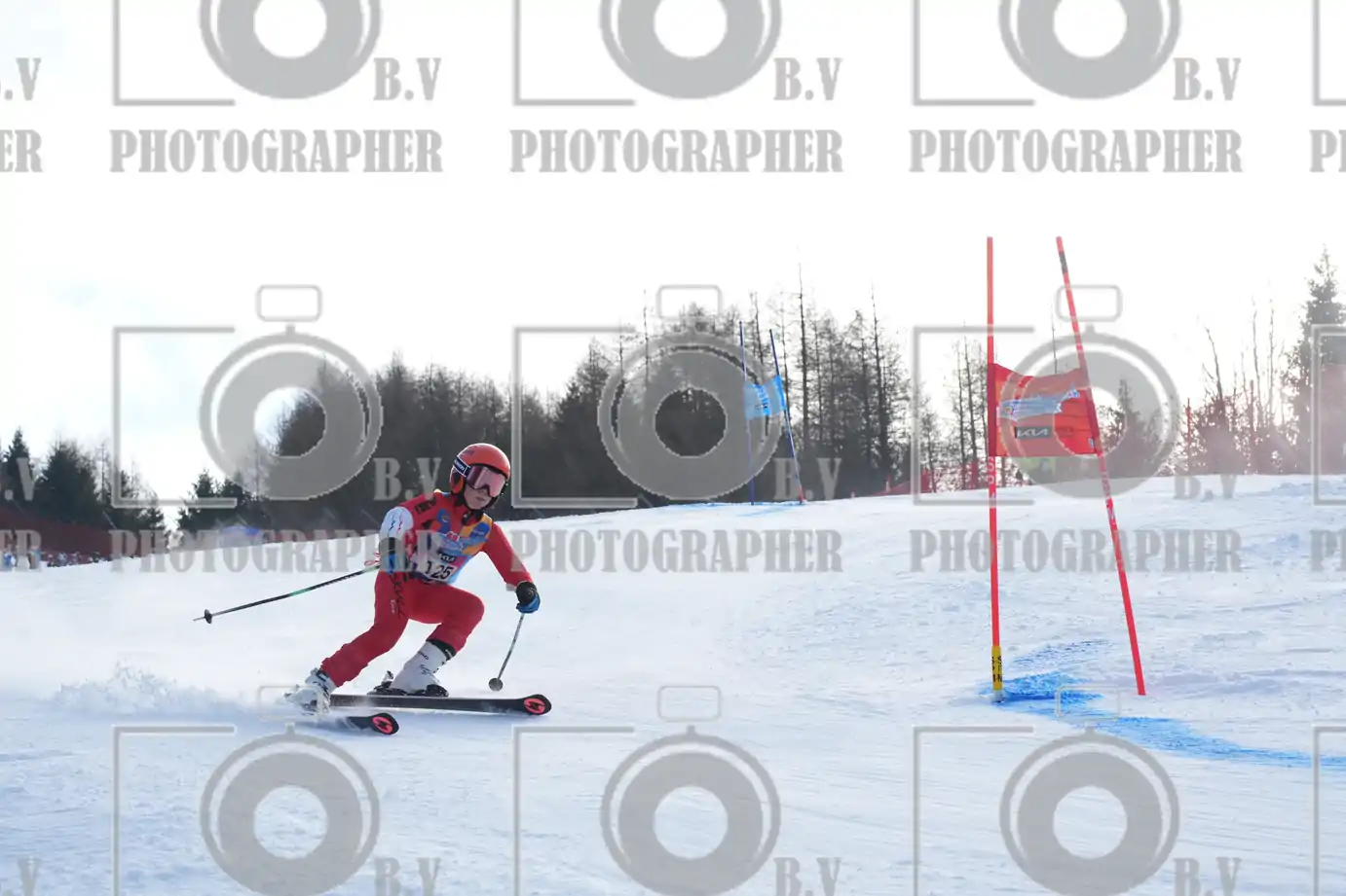 FINALE PROVINCIALE 2026