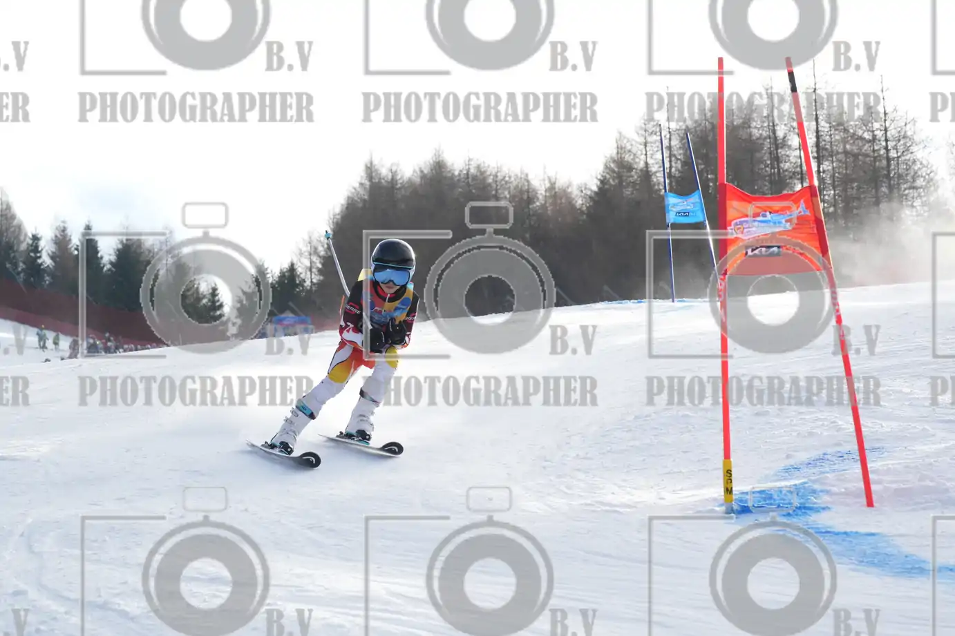 FINALE PROVINCIALE 2026