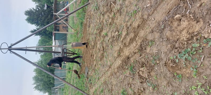 Foraje puturi manuale pret de la 200 lei m/l cu materiale incule si garantie 3 ani.