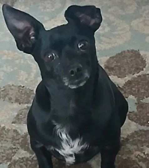 Dinky