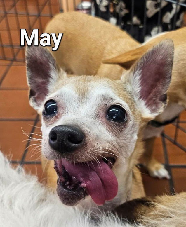 May