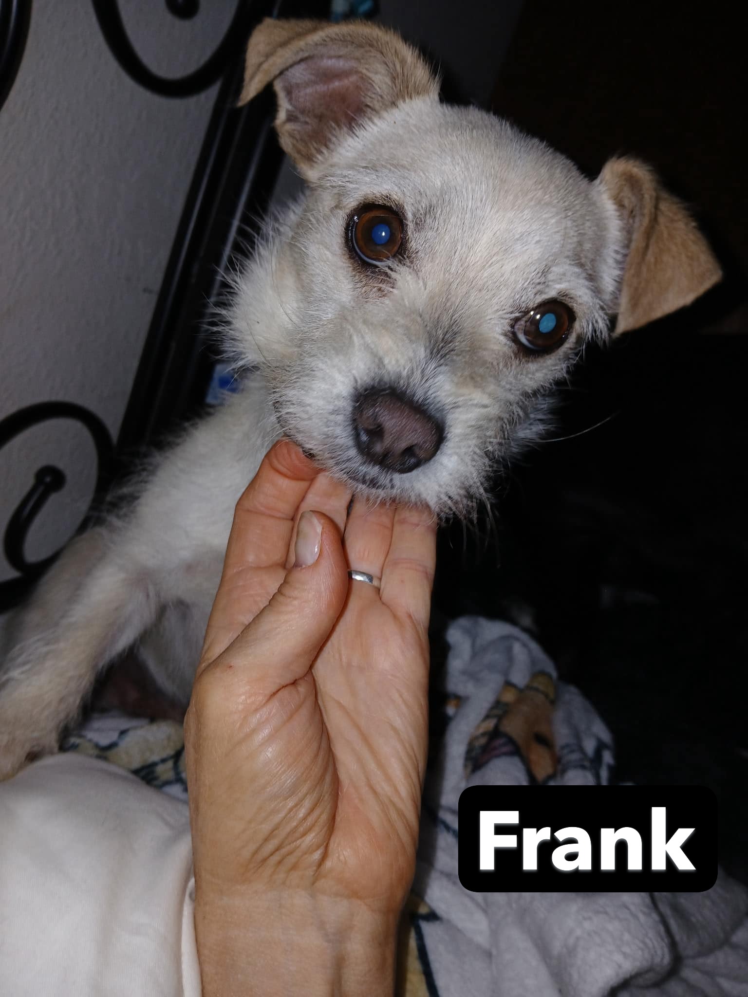 Frank