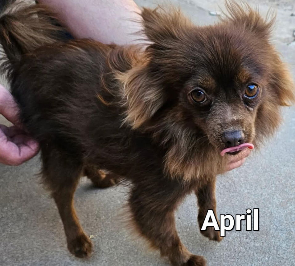 April