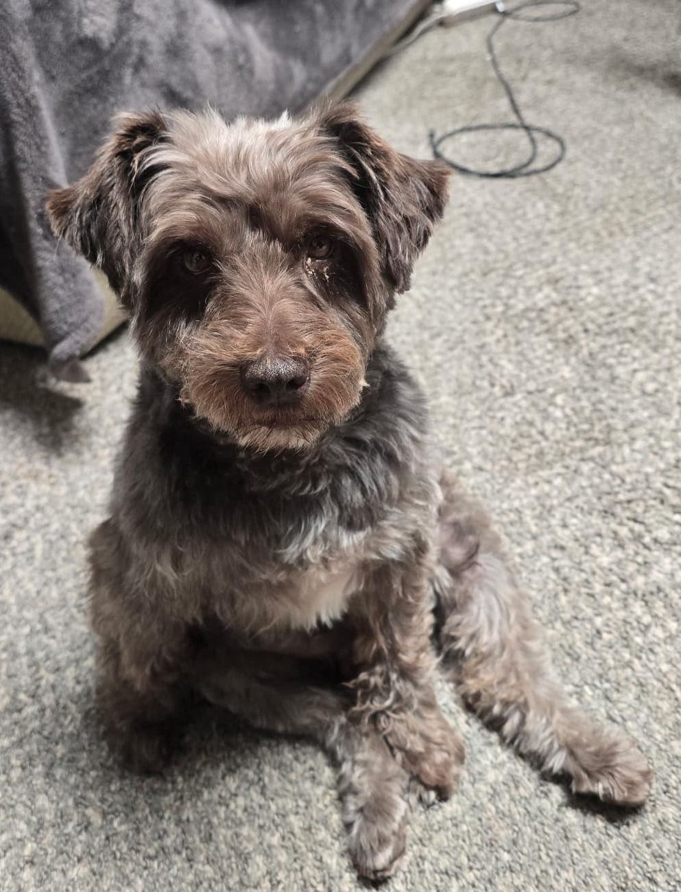 Ralphie