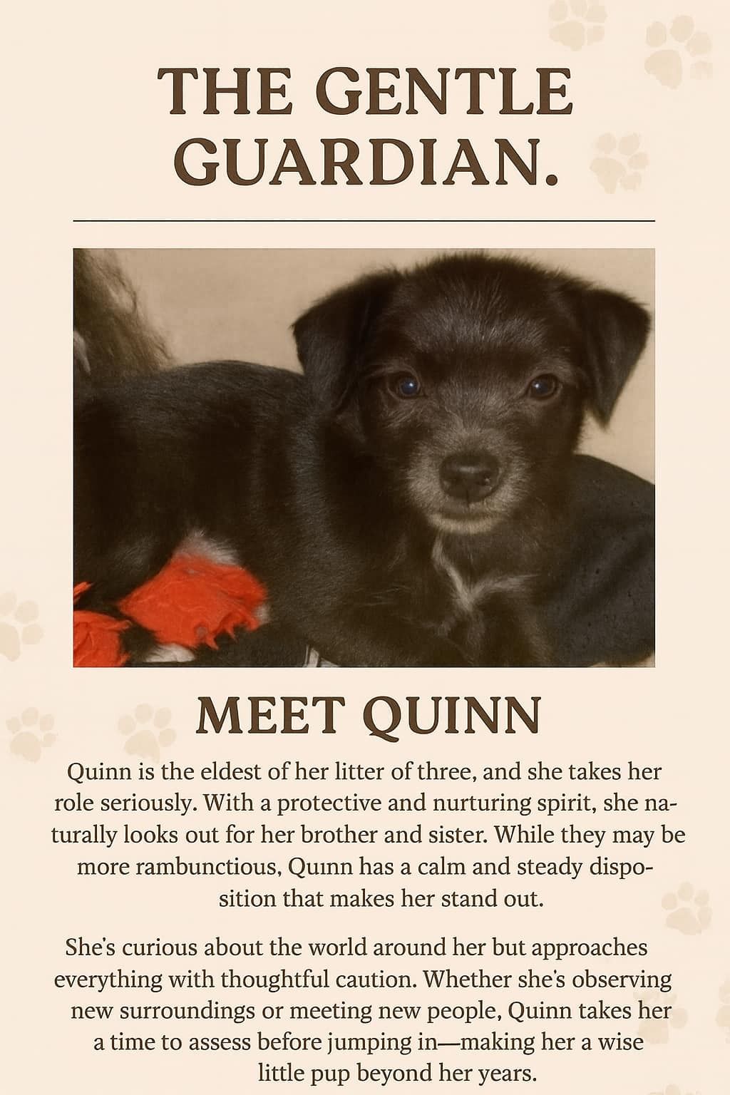 Quinn