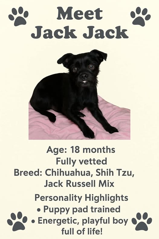 Jack