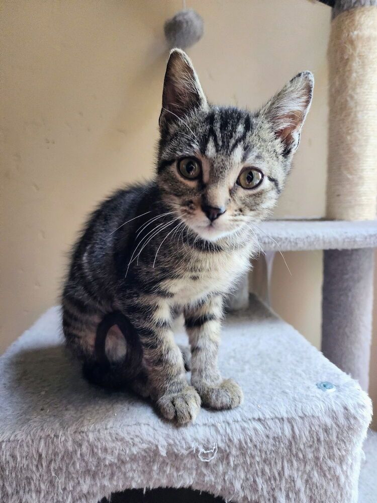 Bobby