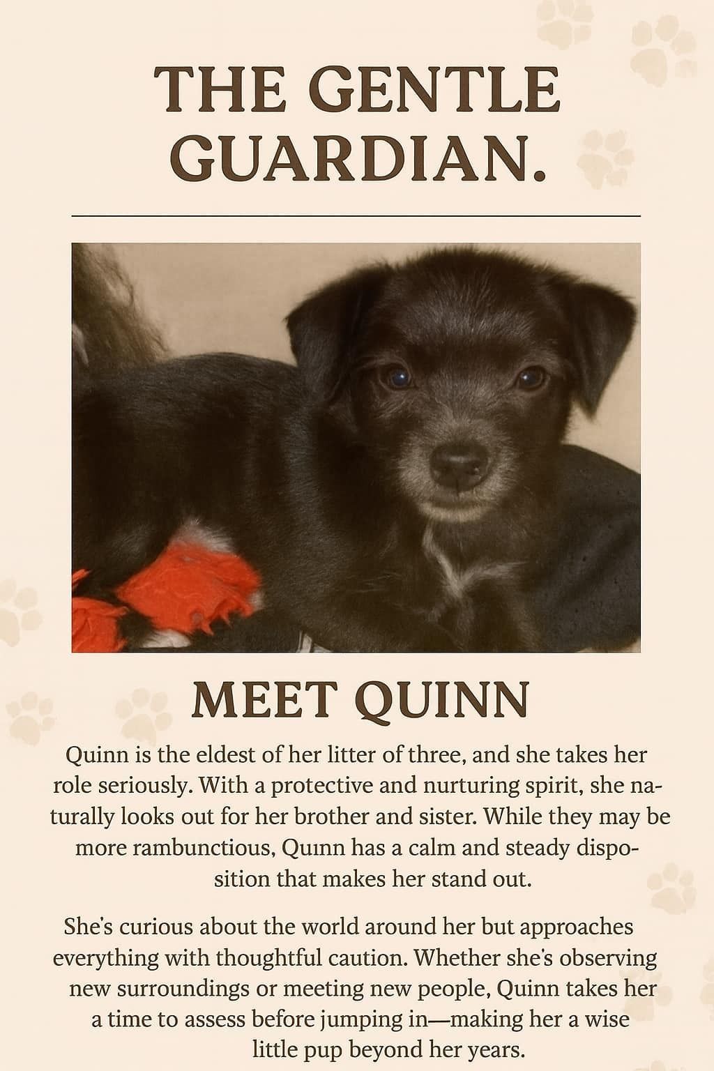 Quinn pending adoption