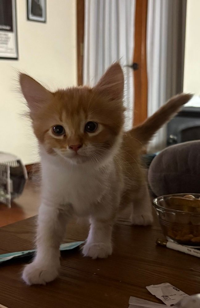 Peaches McGillicuddy