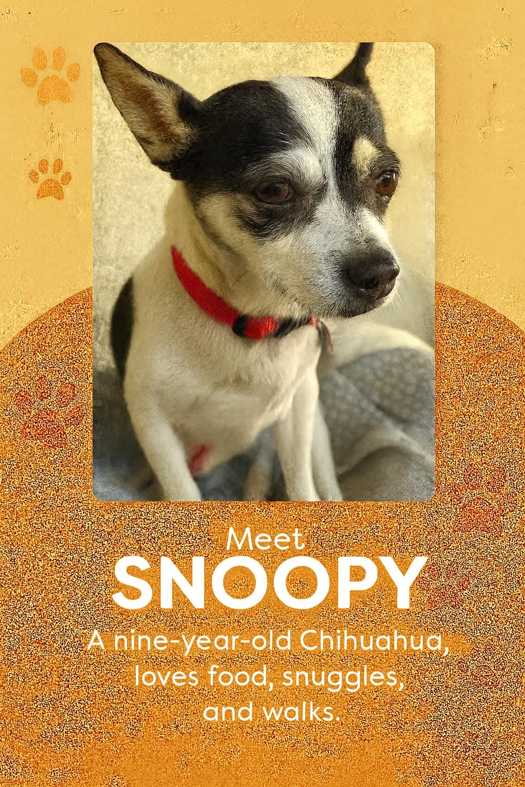 Snoopy