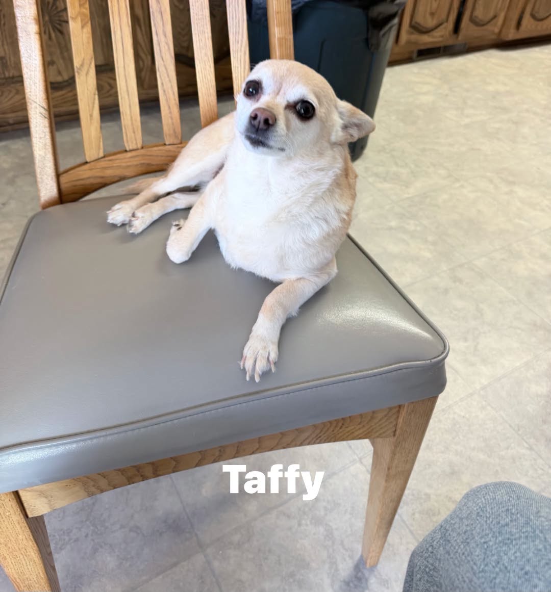 Taffy
