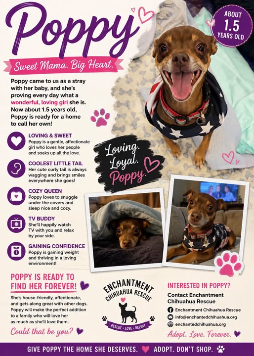 Poppy