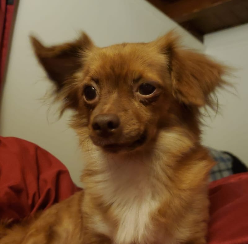 Fostering