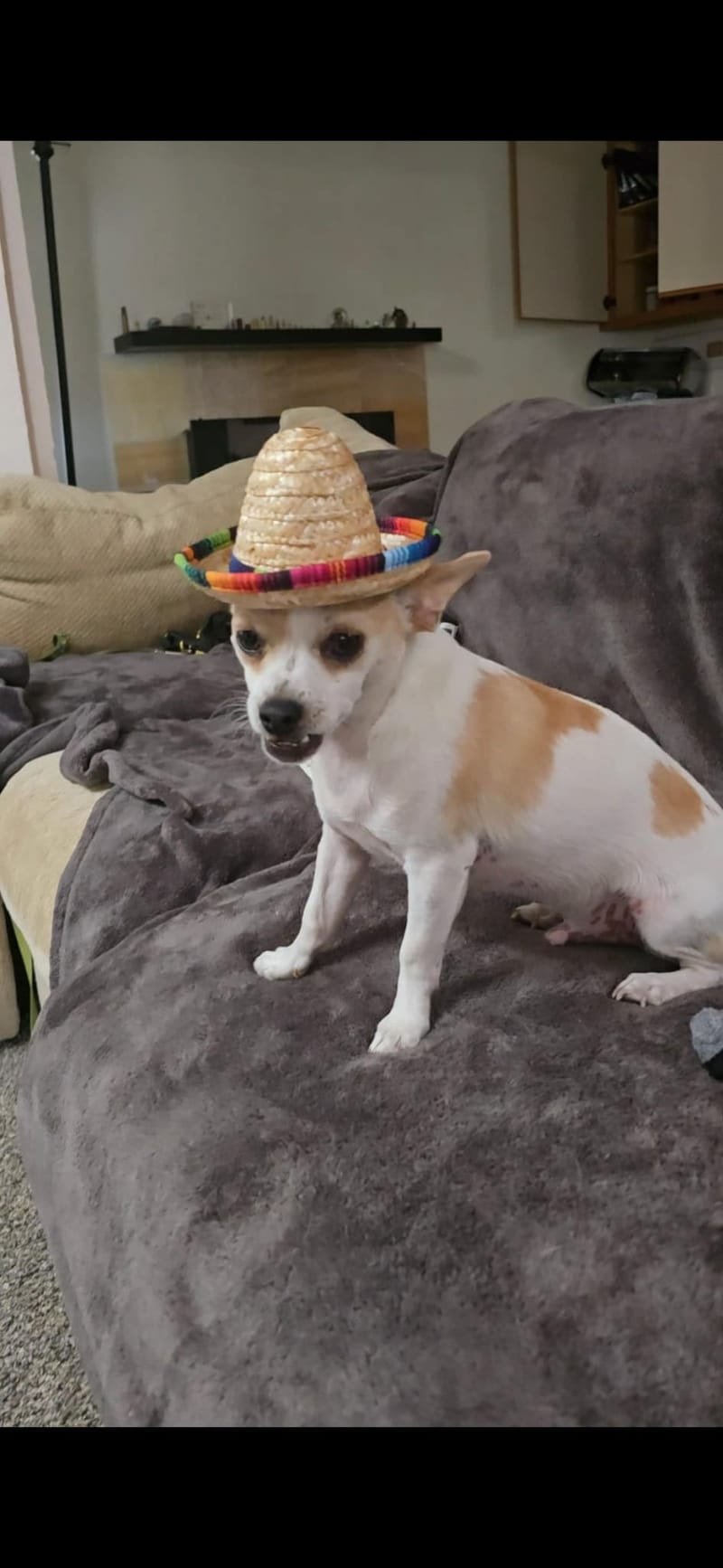 August 2025: Roscoe