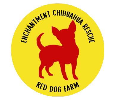 Adoption event at Napoli Coffee