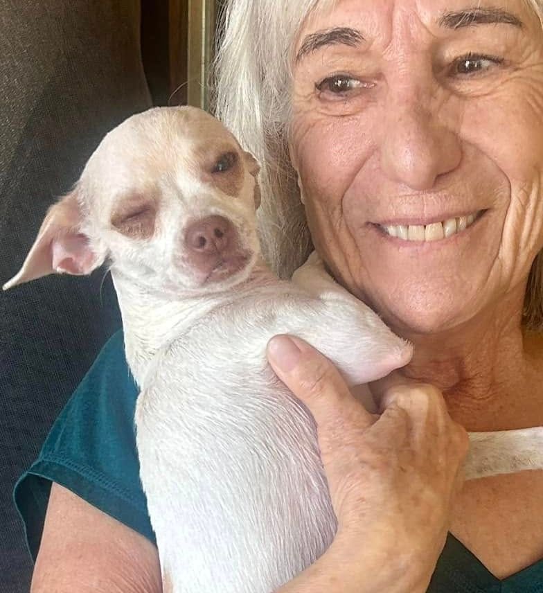 Adoption event at Petco