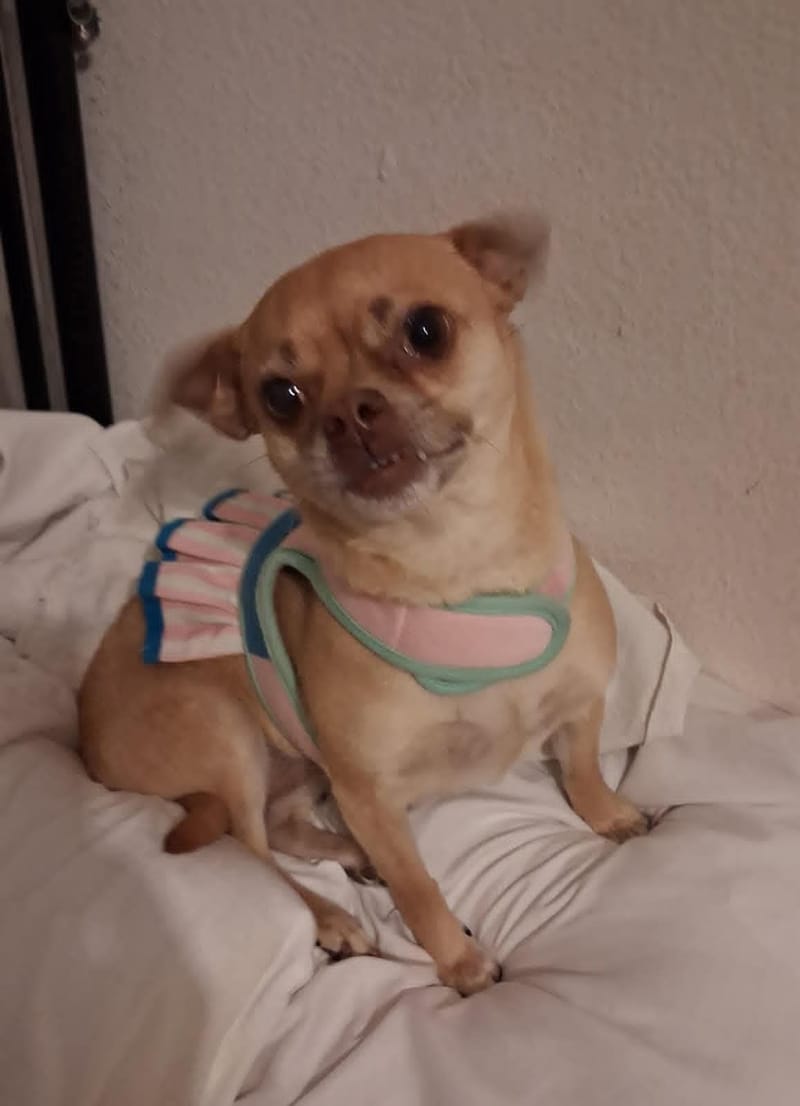 June 2026: JoJo