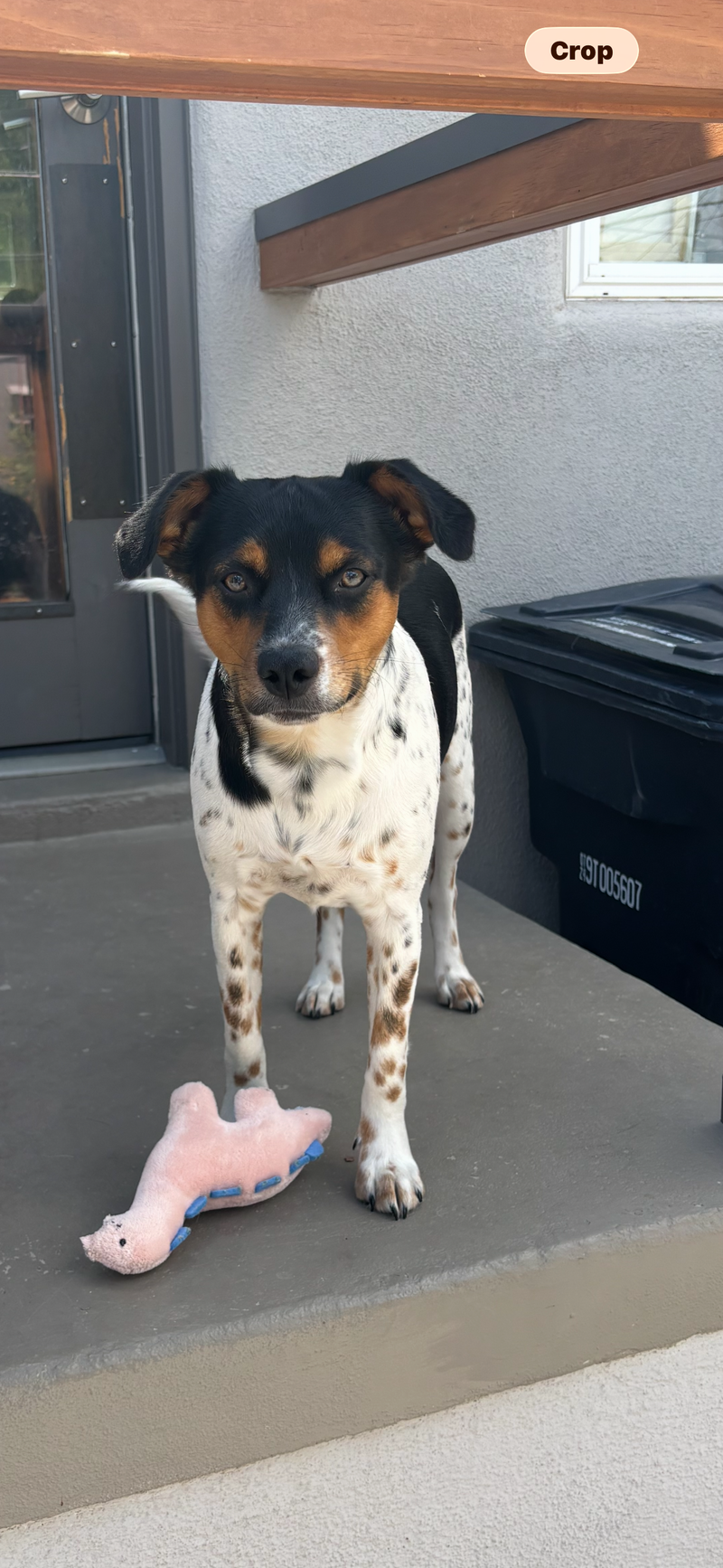 July 2026: Brutus