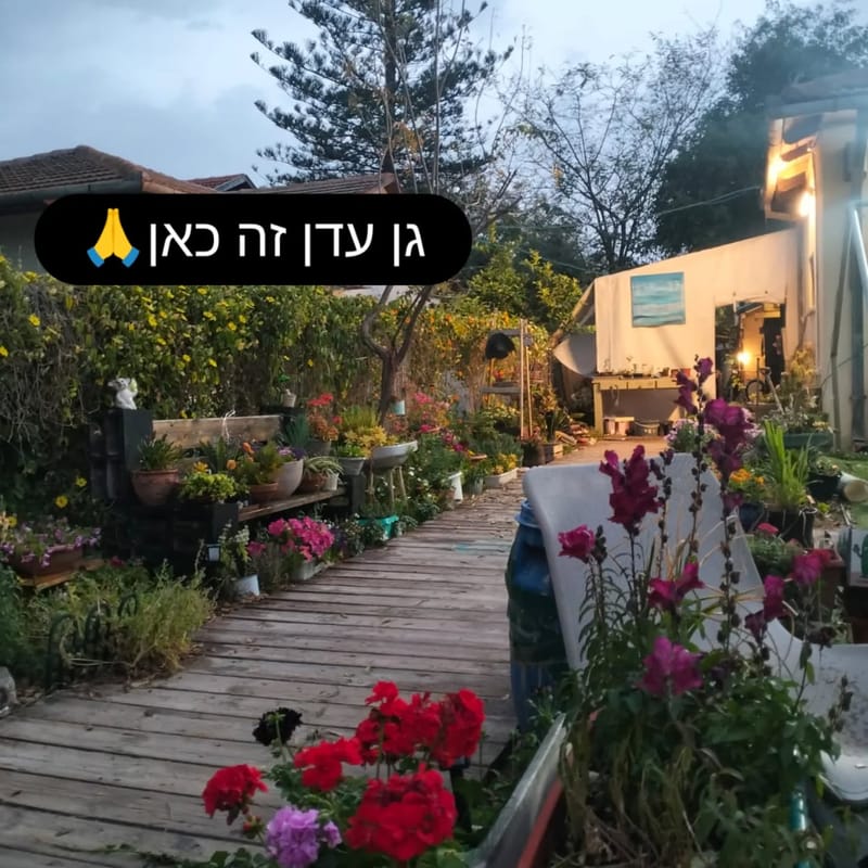 כשהשפה עוד בפנים- הבסיס השפתי שמאחורי תקשורת בהקלדה