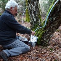 HISTOIRE et BIENFAITS image