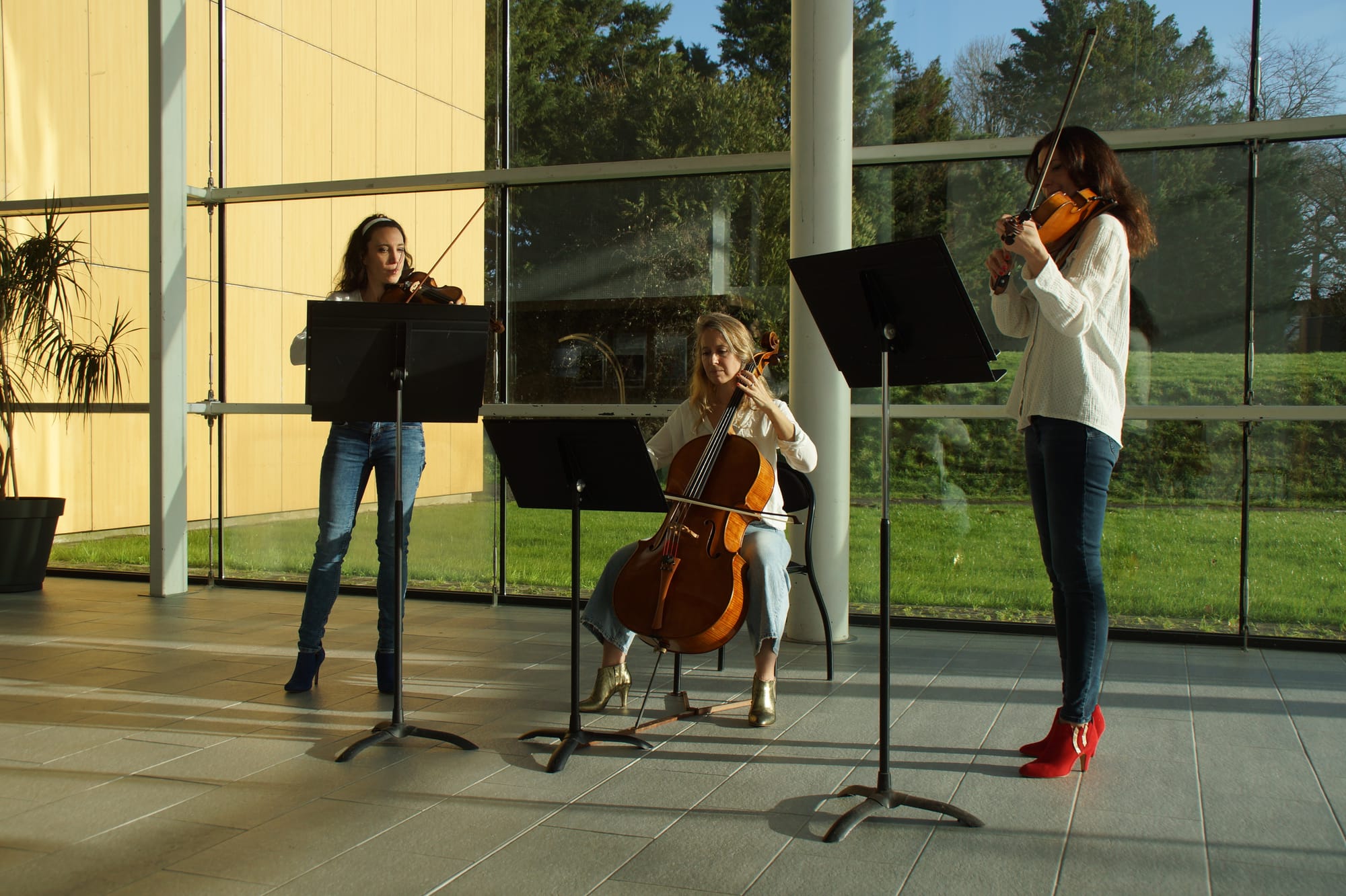 Trio Yseult, quatuor à cordes Bretagne